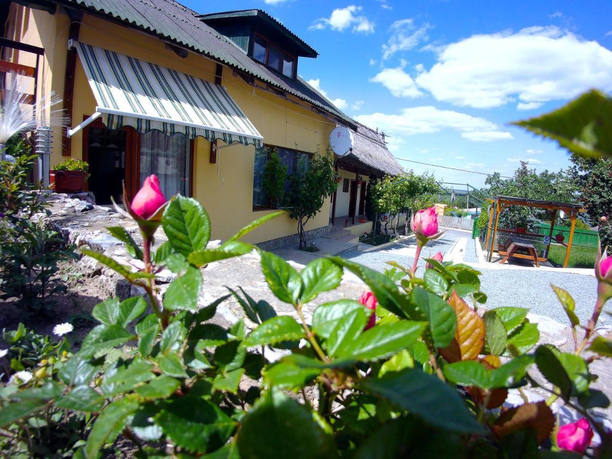 Casa Adi Si Maria Hotel Mahmudia Exterior foto