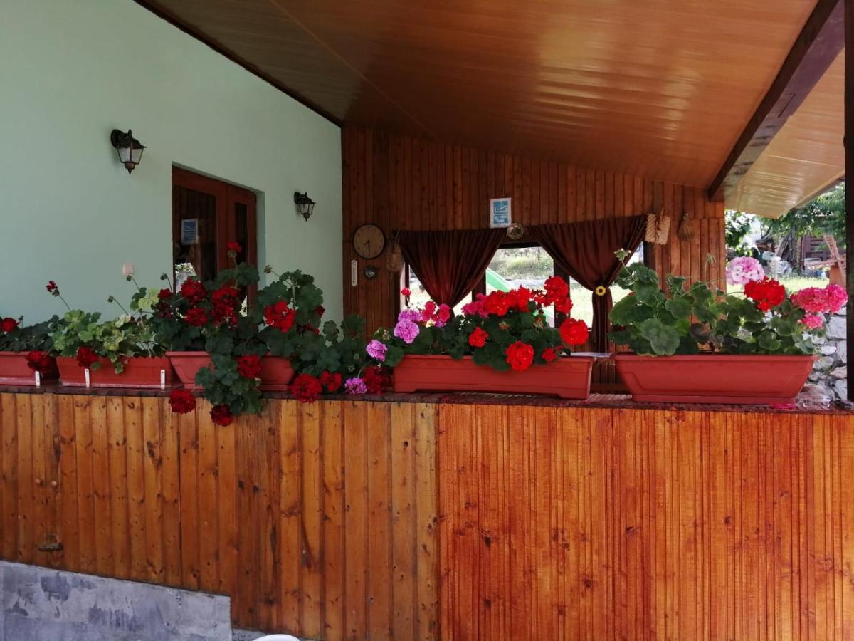 Casa Adi Si Maria Hotel Mahmudia Exterior foto
